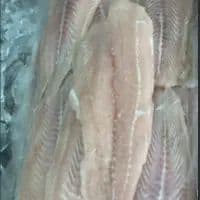 Filé de Panga Kg
